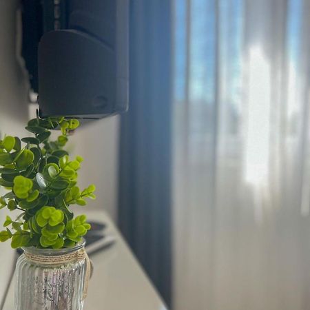 Apartman Ana, Zadar Eksteriør billede